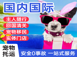 太平航空空运国际宠物托运 【国